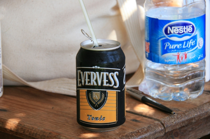 Vakantie Egypte 2010-329.jpg